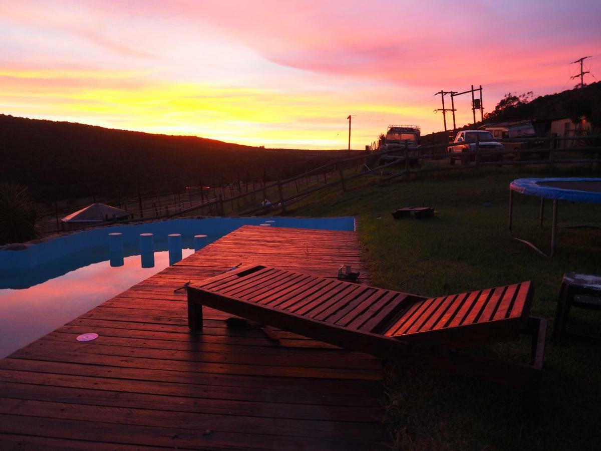 Pure Nature Familodge Paterson Экстерьер фото